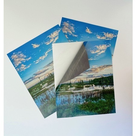 54" MATTE AIR RELEASE VINYL - LUSTER LAM BUNDLE